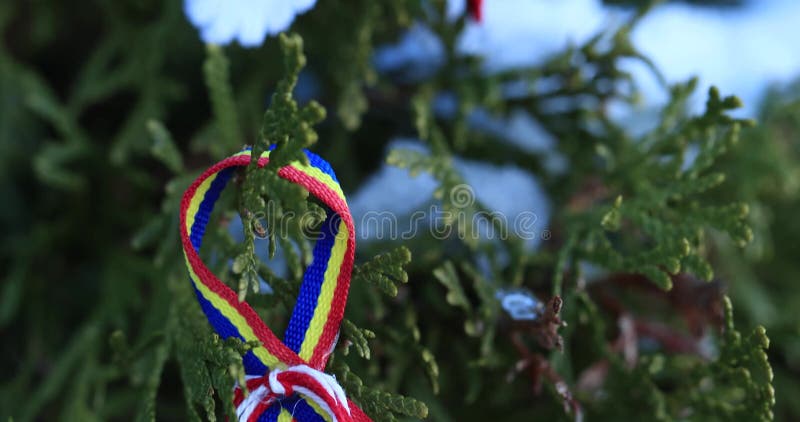 Παραδοσιακό Martisor είναι μια κόκκινη και άσπρη σειρά που προσφέρεται από τους ανθρώπους την 1η Μαρτίου ως φυλακτό αγάπης Ρουμαν